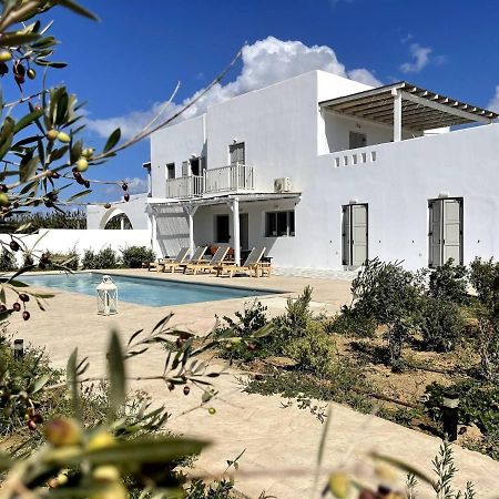 White Pearl Villa Naxos With Private Swimming Pool Naxos City Ngoại thất bức ảnh