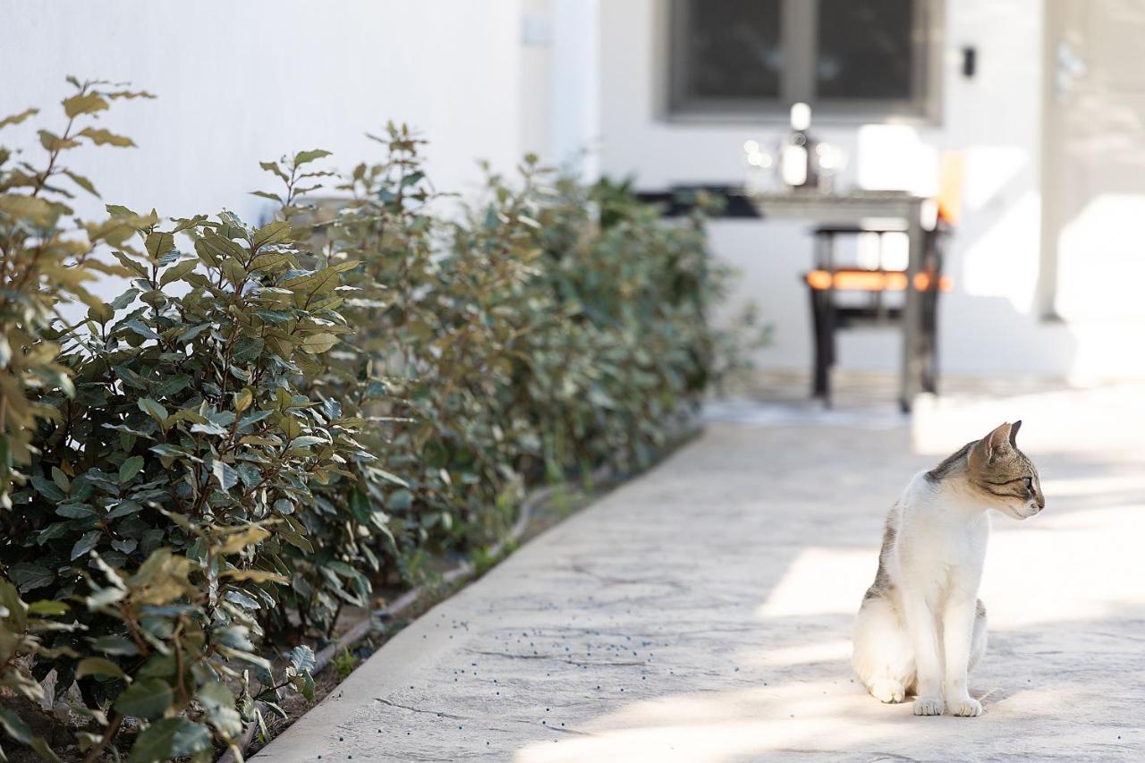 White Pearl Villa Naxos With Private Swimming Pool Naxos City Ngoại thất bức ảnh