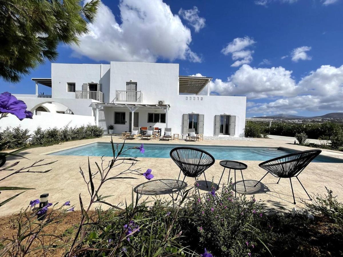 White Pearl Villa Naxos With Private Swimming Pool Naxos City Ngoại thất bức ảnh