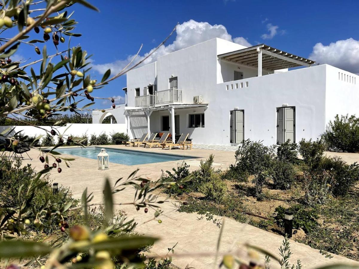 White Pearl Villa Naxos With Private Swimming Pool Naxos City Ngoại thất bức ảnh