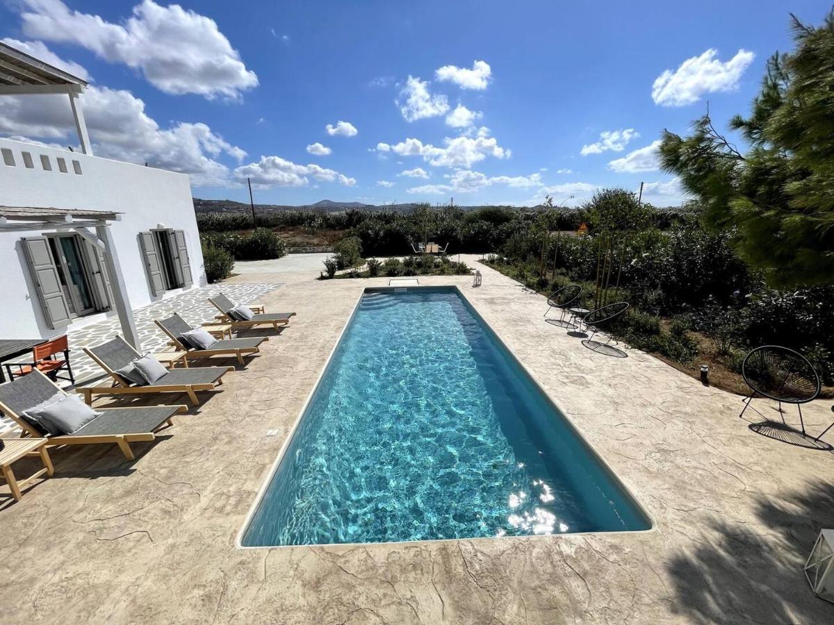 White Pearl Villa Naxos With Private Swimming Pool Naxos City Ngoại thất bức ảnh